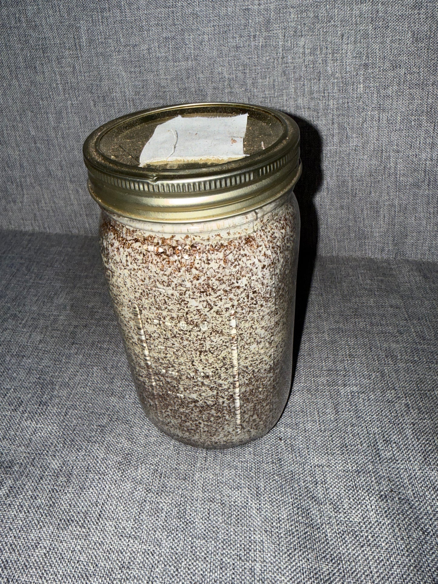 Turkey Tail Kinshi (Kawaratake) 32oz Wide Mouth Glass Jar