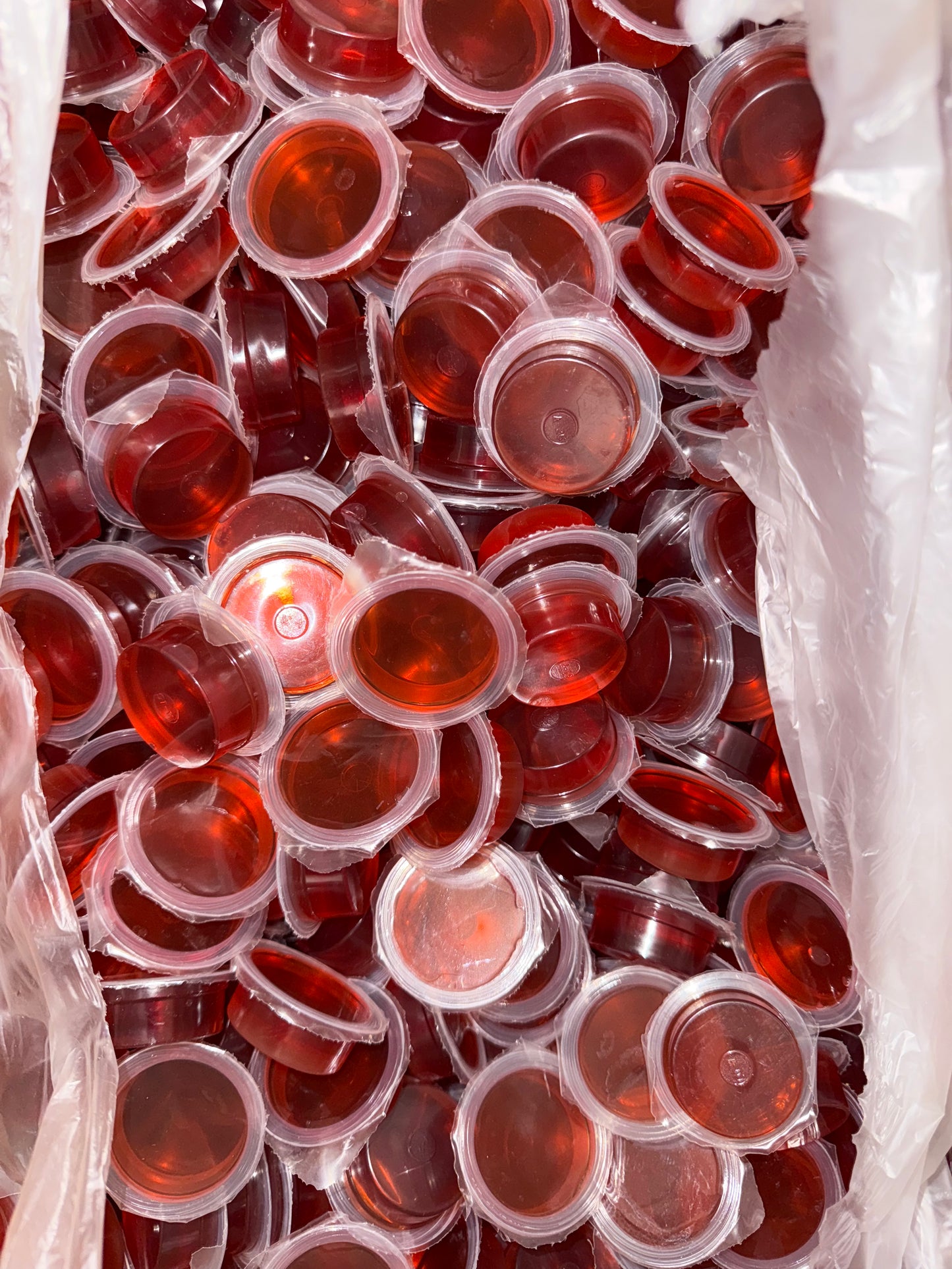 Beetle Jelly Wide Cup Brown Sugar