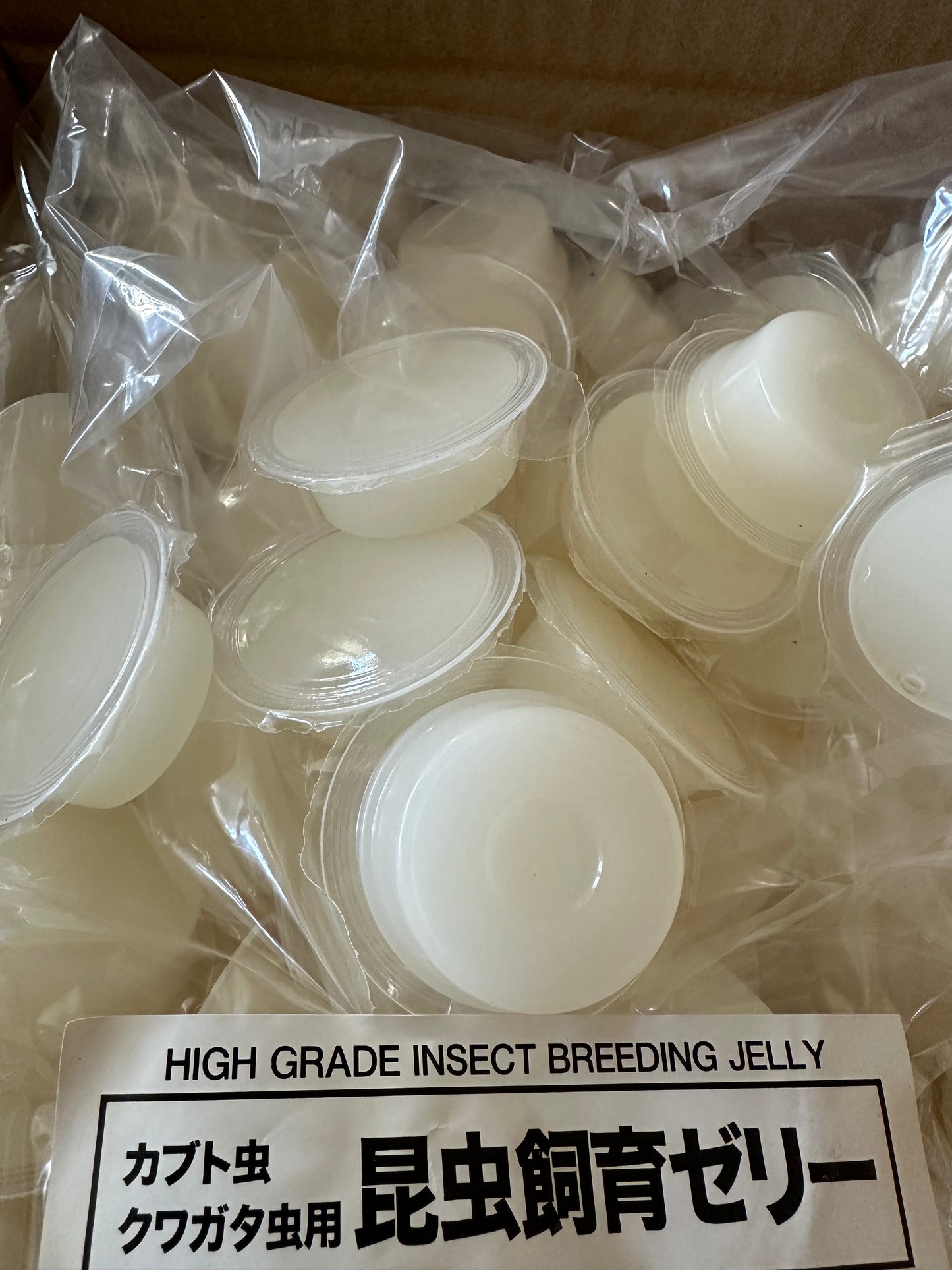 High Grade Beetle Jelly (White) Wide Cup