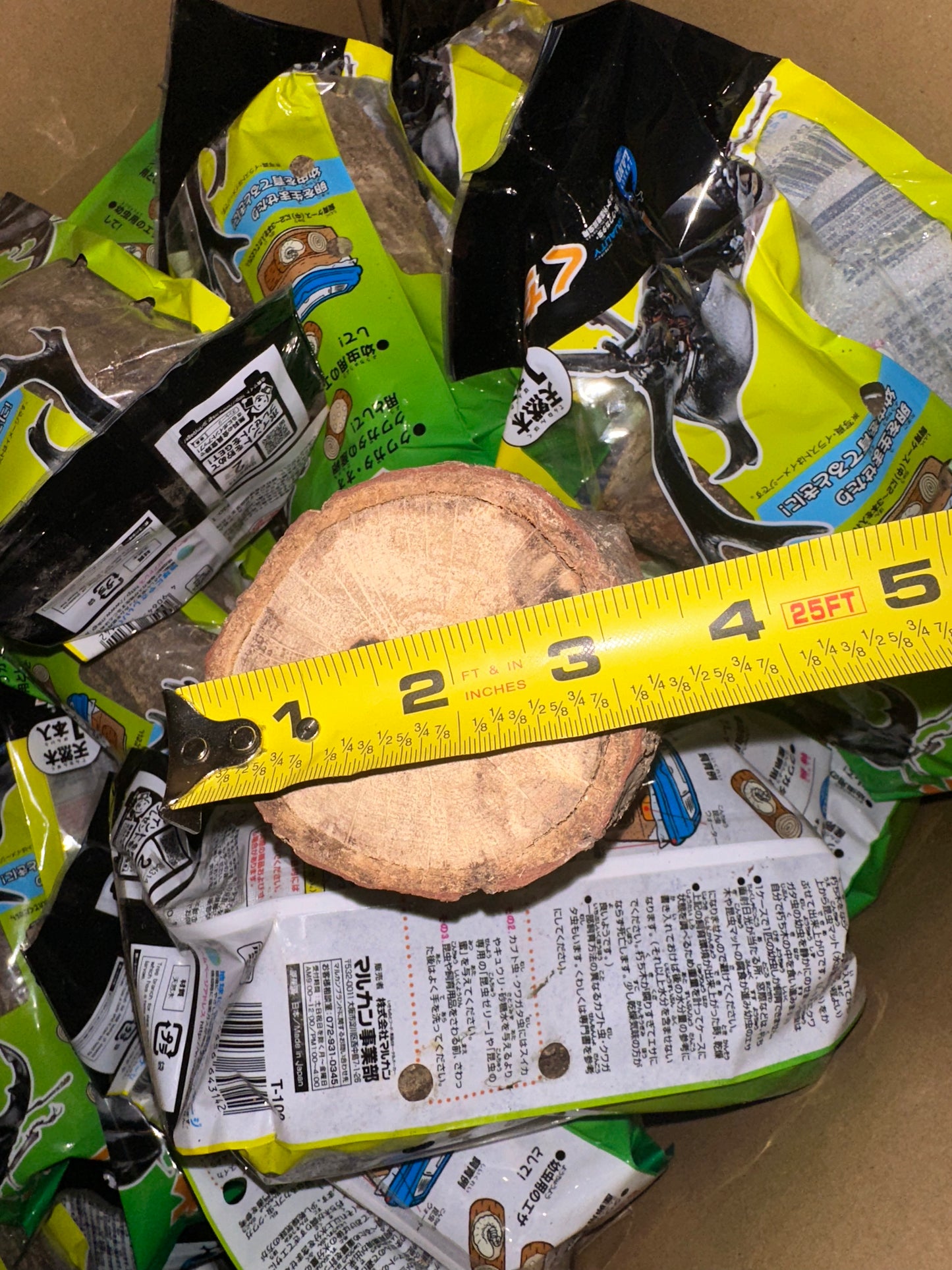 Breeding/Rearing Asian Log