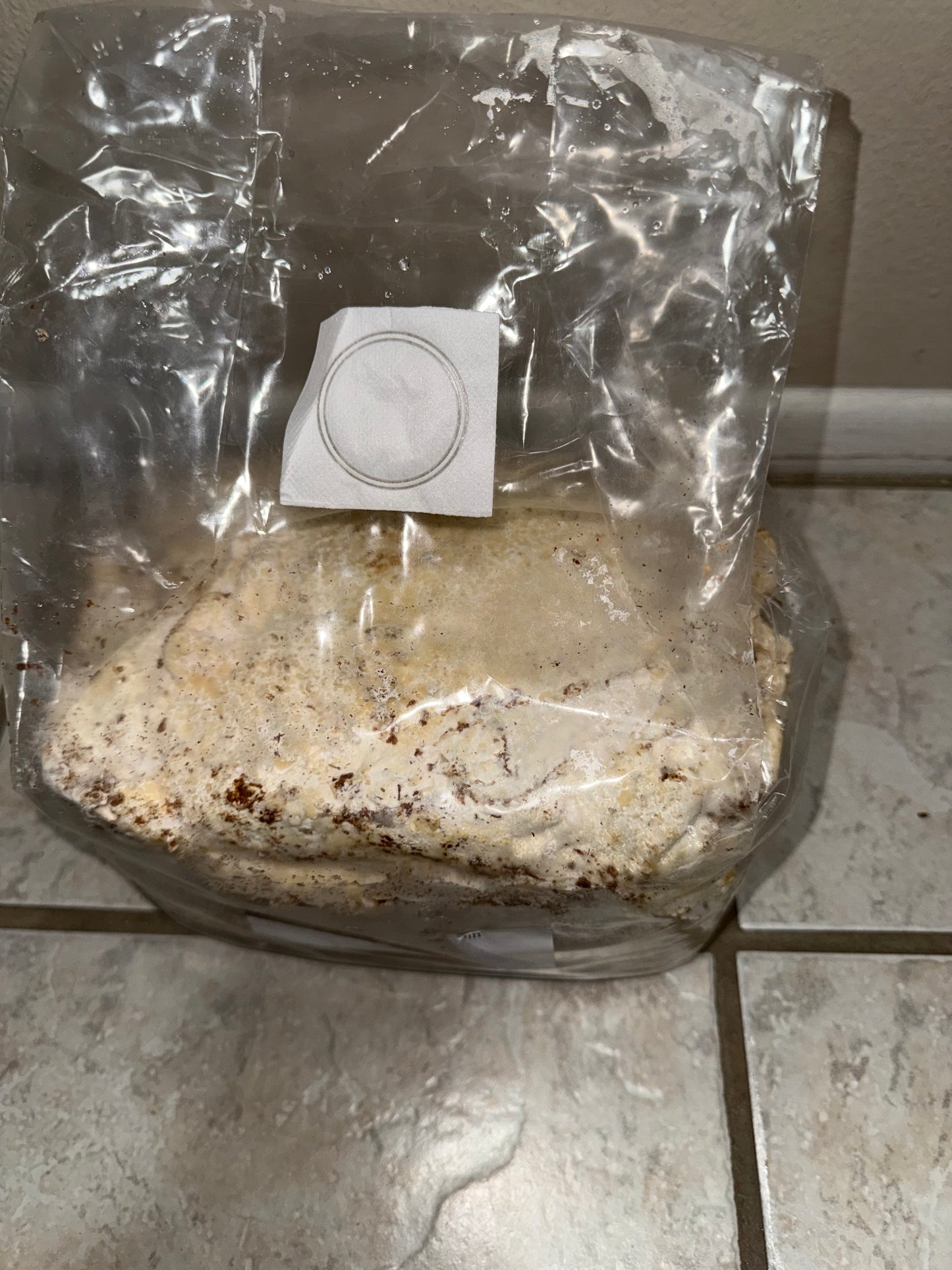 5 pound kinshi bags (FREE SHIPPING