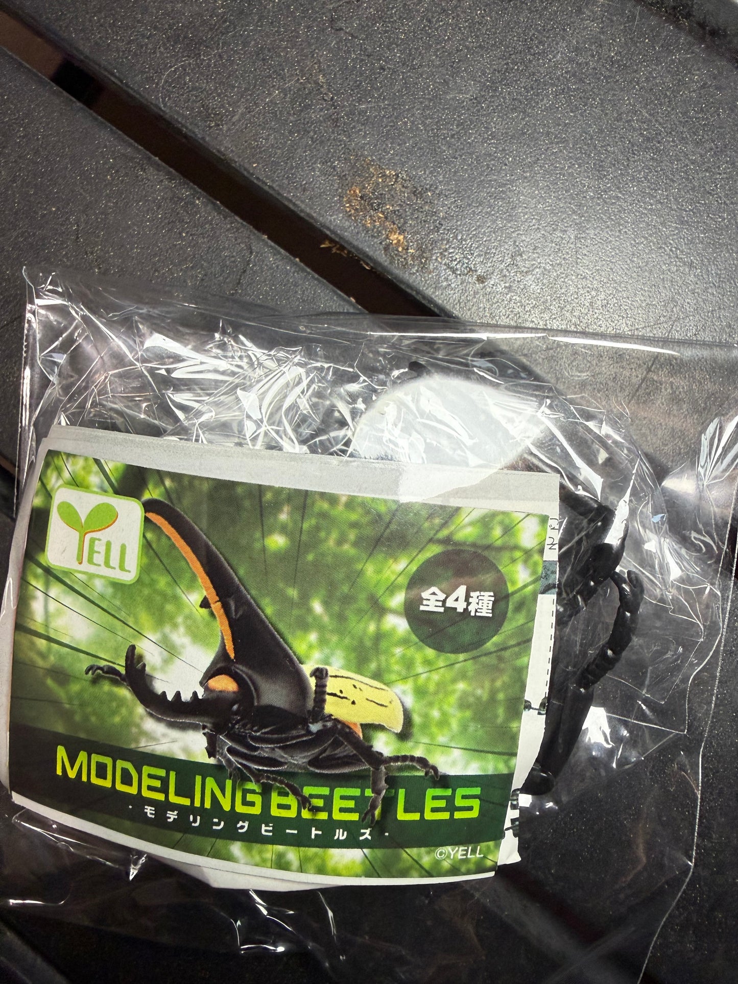 Build-Your-Own-Beetle Figure