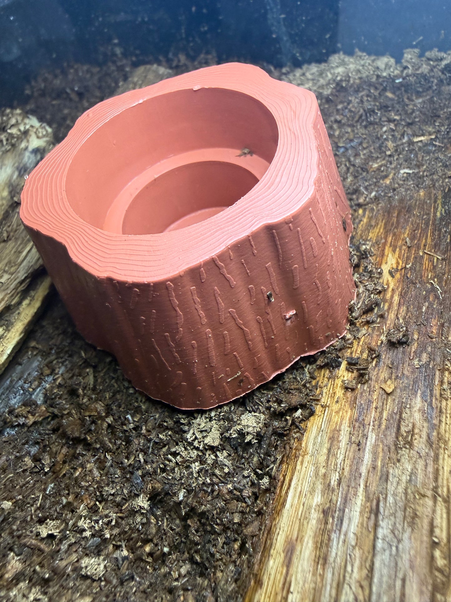 Beetle Jelly Holder Tree Stump Style