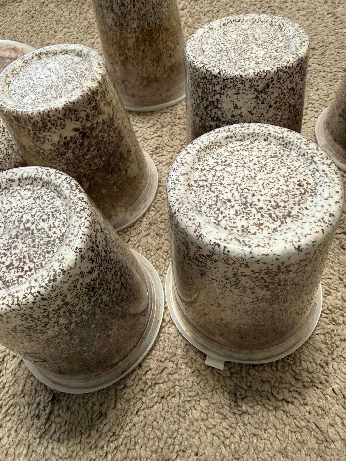 Hiratake Kinshi (oyster mushroom)