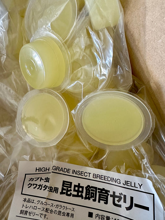 High Grade Beetle Jelly Imported From Japan (Yellow/Banana)