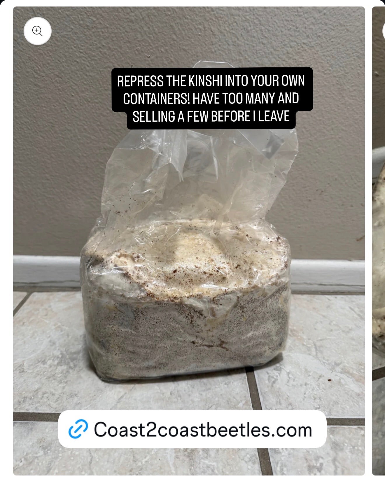 Kinshi Block 5lbs FREE SHIPPING