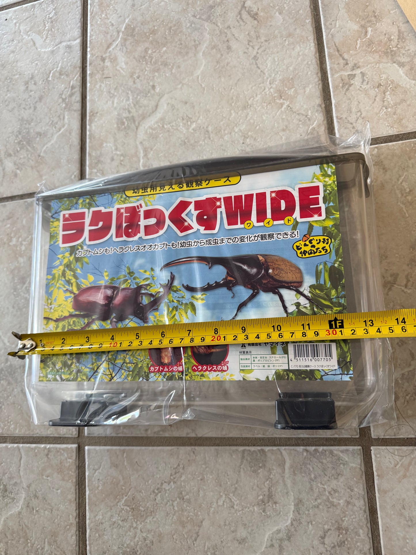 Large Wide Hercules (Rhino Beetle) Rearing Observation Container (FREE SHIPPING)