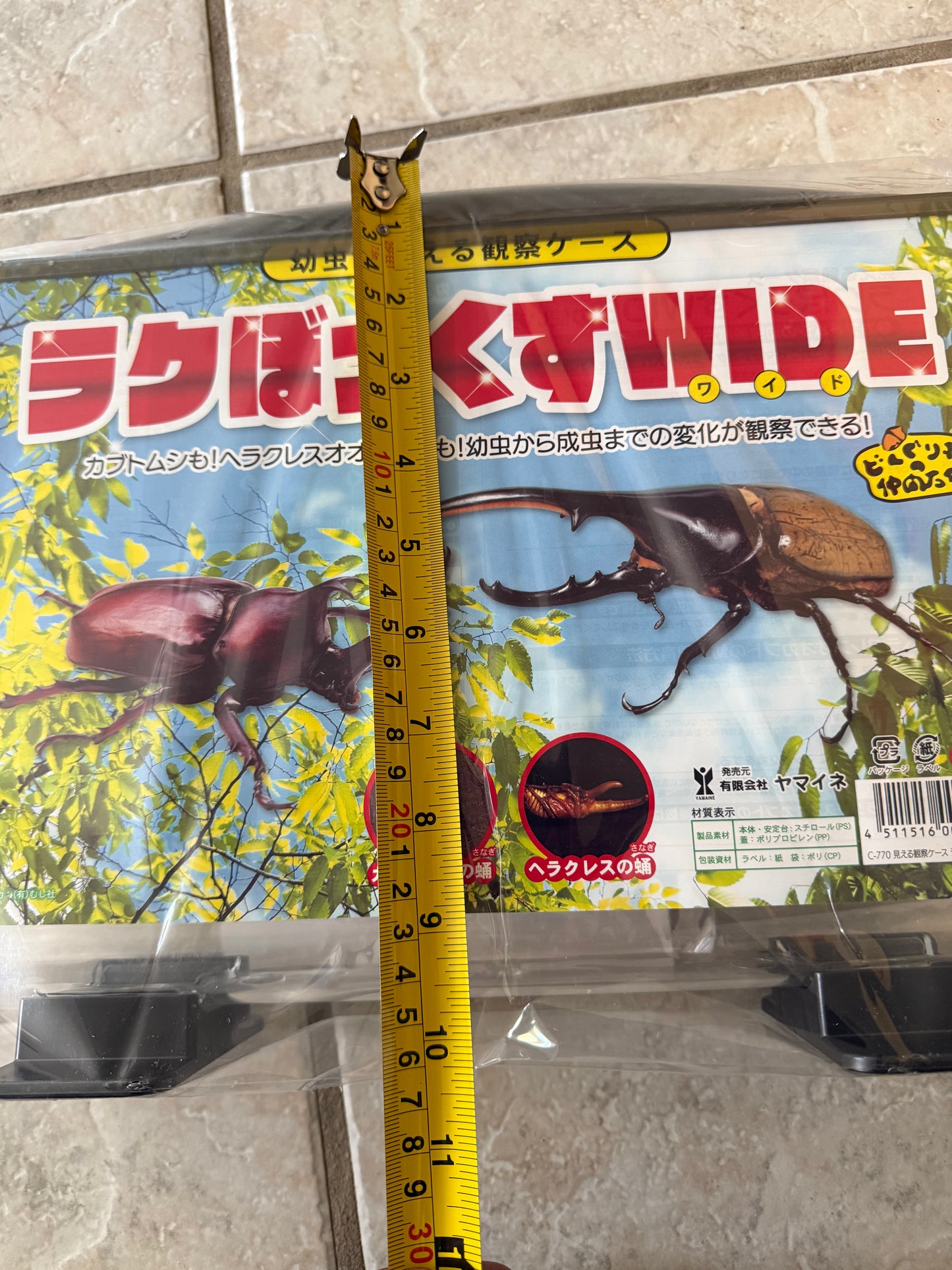 Large Wide Hercules (Rhino Beetle) Rearing Observation Container (FREE SHIPPING)