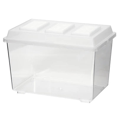 Anti-Gnat Beetle Breeding/Egg Laying Container Size - ２９８×１９５×２１０ｍｍ IMPORTED
