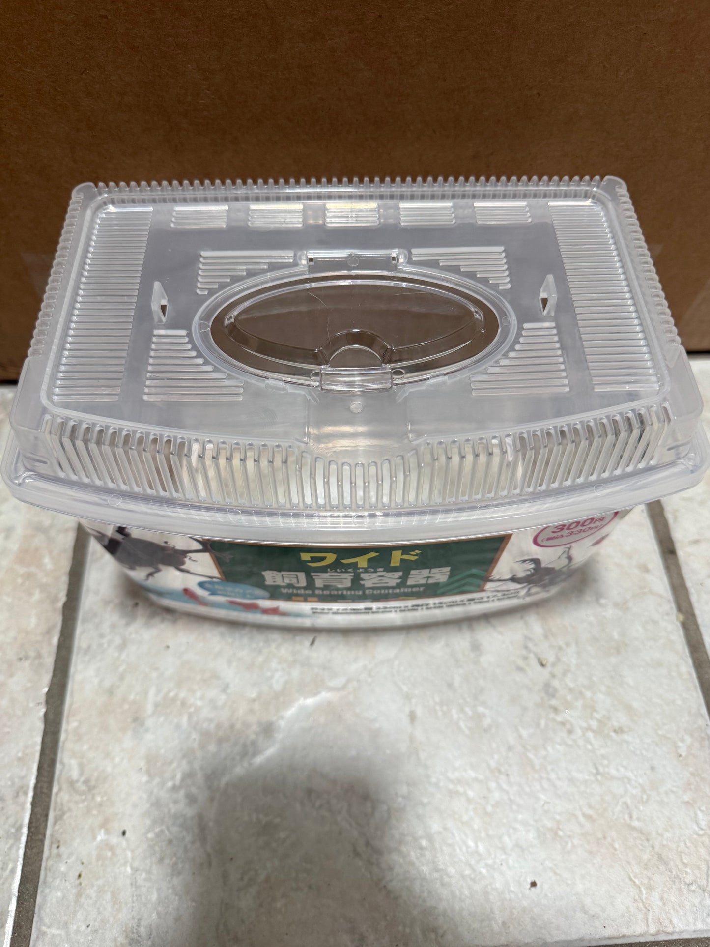 Beetle/Larvae Insect Keeping Case Rearing Breeding Container 23cm x 15cm x 17.3 cm