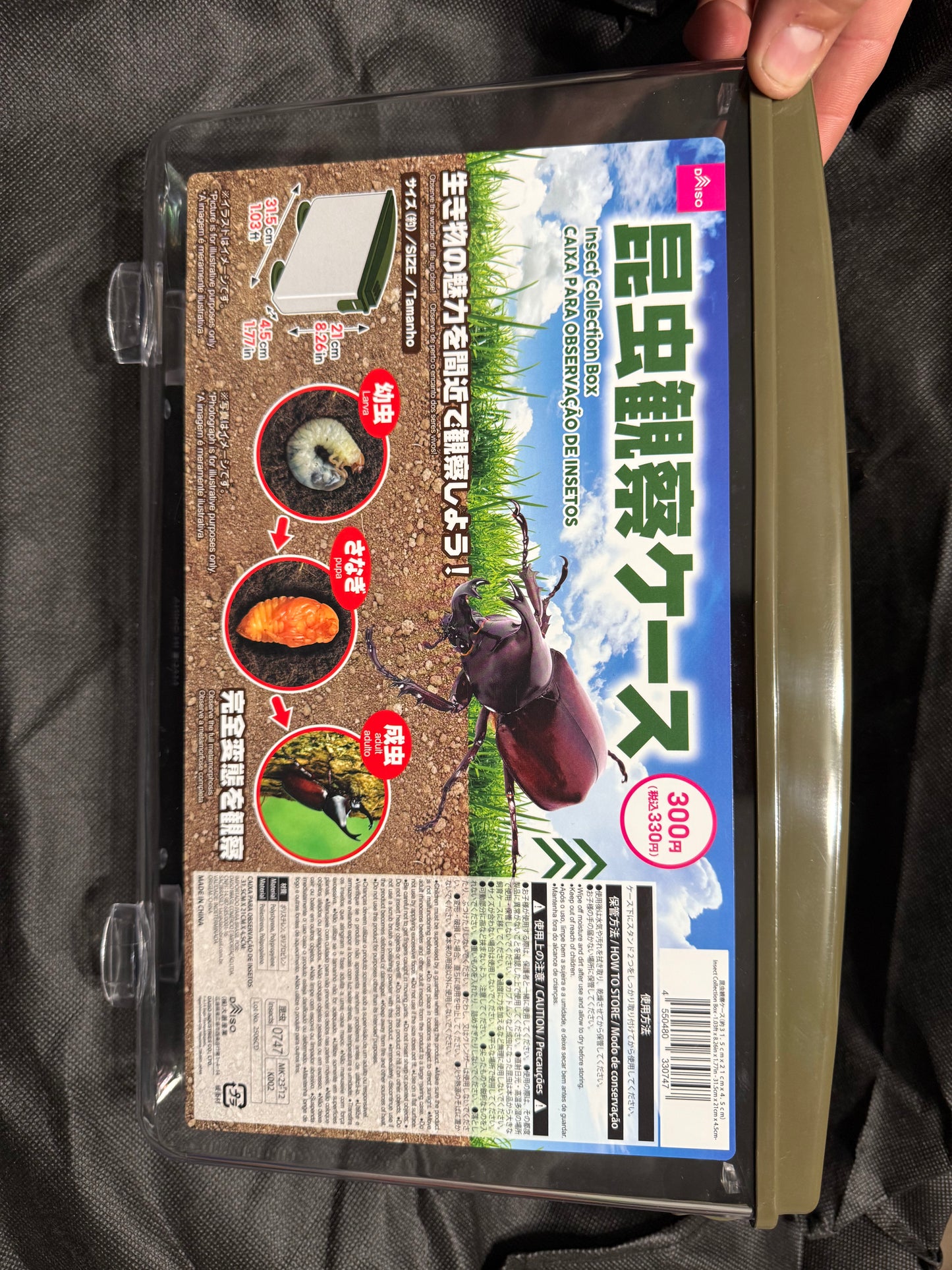 Rhino Beetle Rearing Observation Container