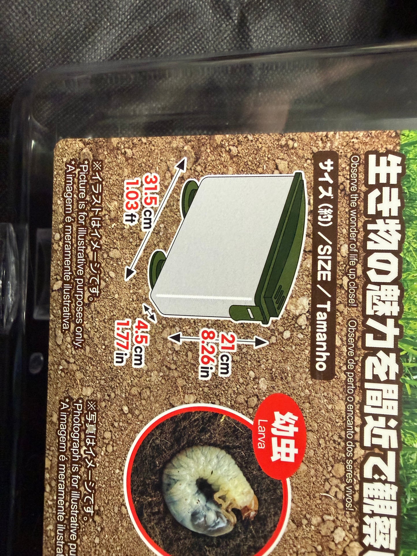 Rhino Beetle Rearing Observation Container