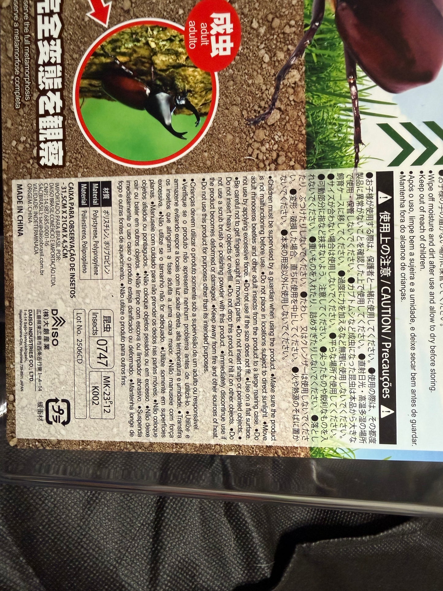 Rhino Beetle Rearing Observation Container