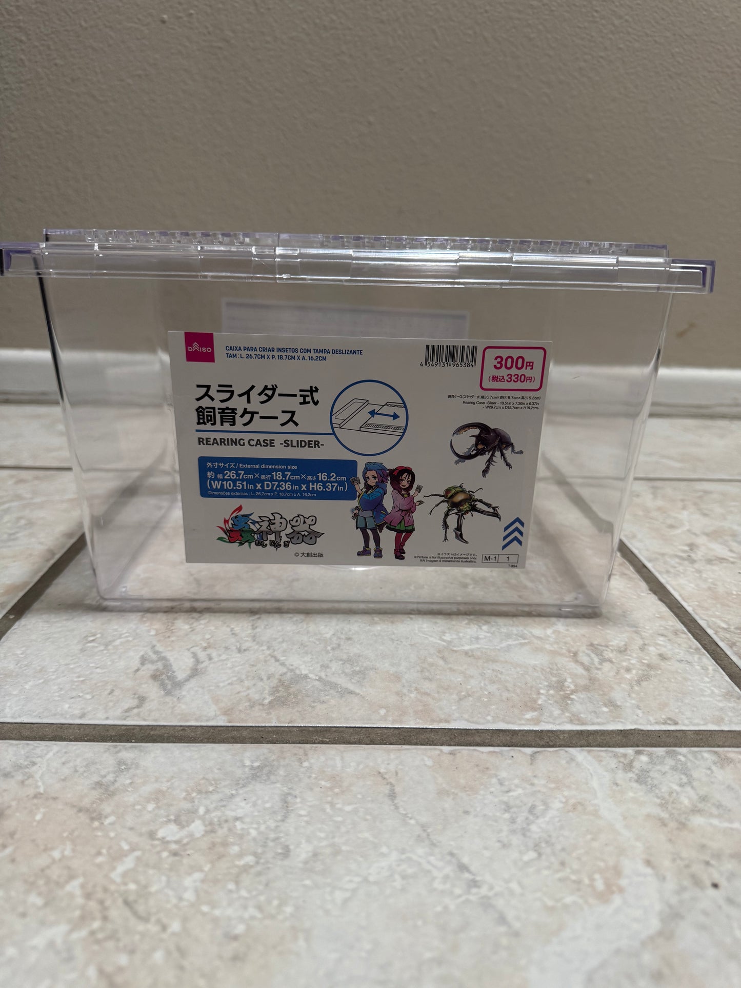 Clear Beetle Container Keeping/Breeding/Raising