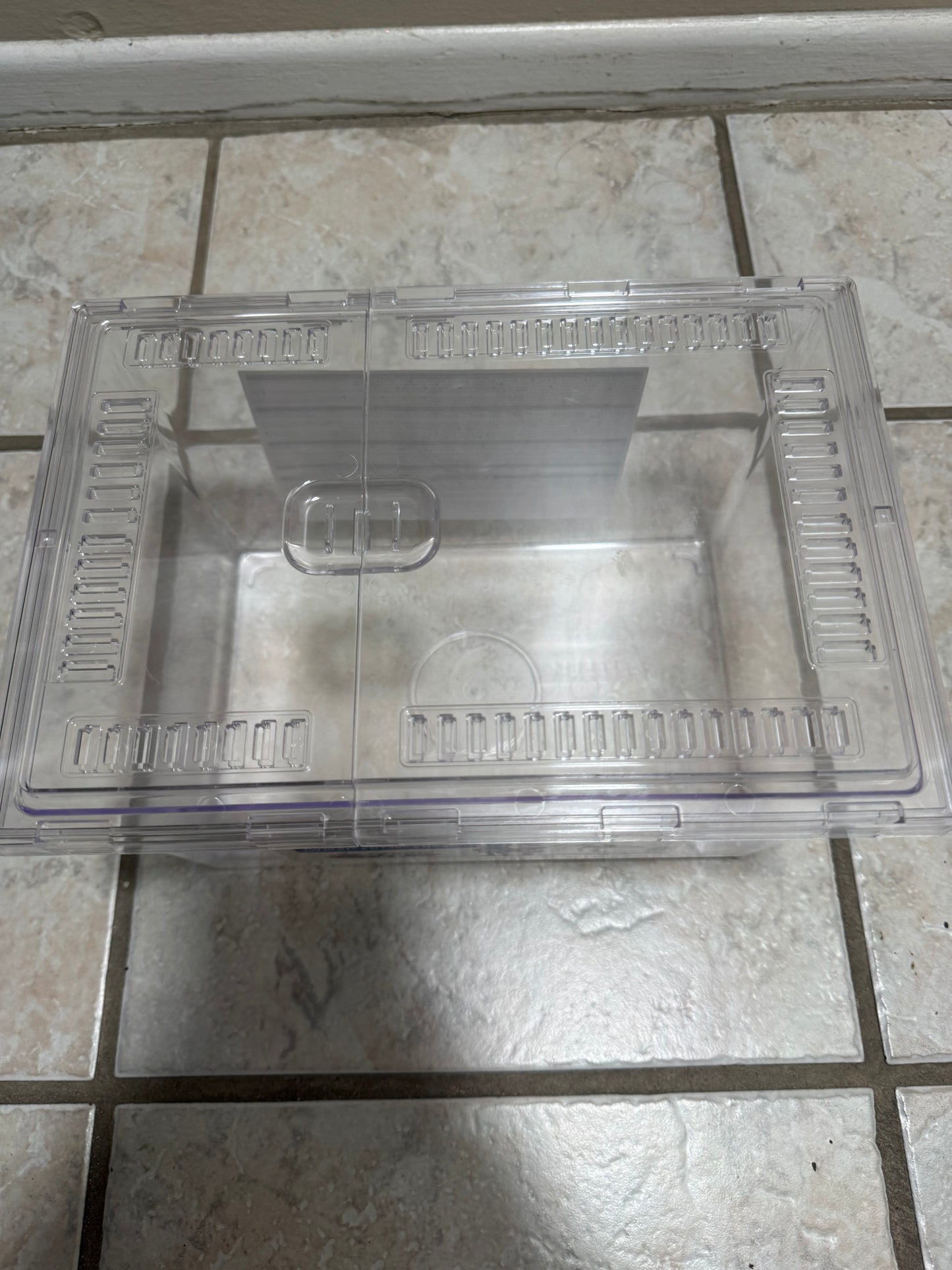 Clear Beetle Container Keeping/Breeding/Raising