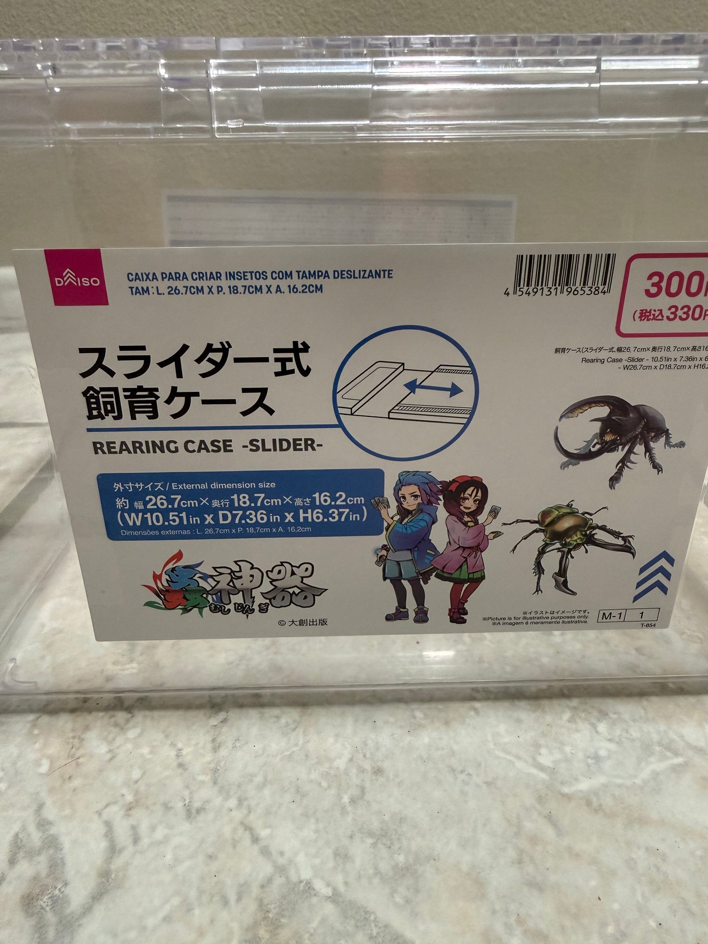 Clear Beetle Container Keeping/Breeding/Raising