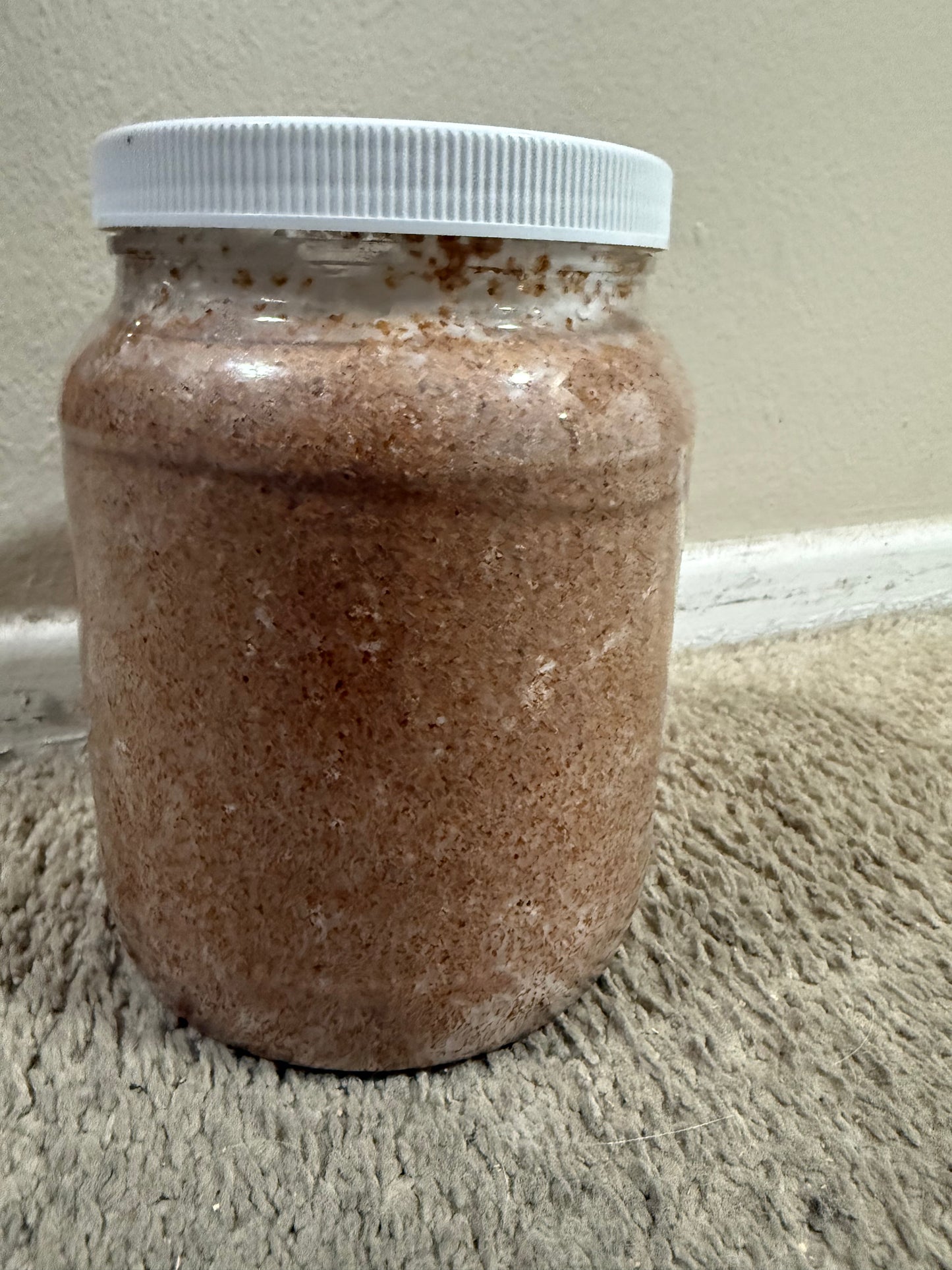 Kinshi Oyster Large 64oz container