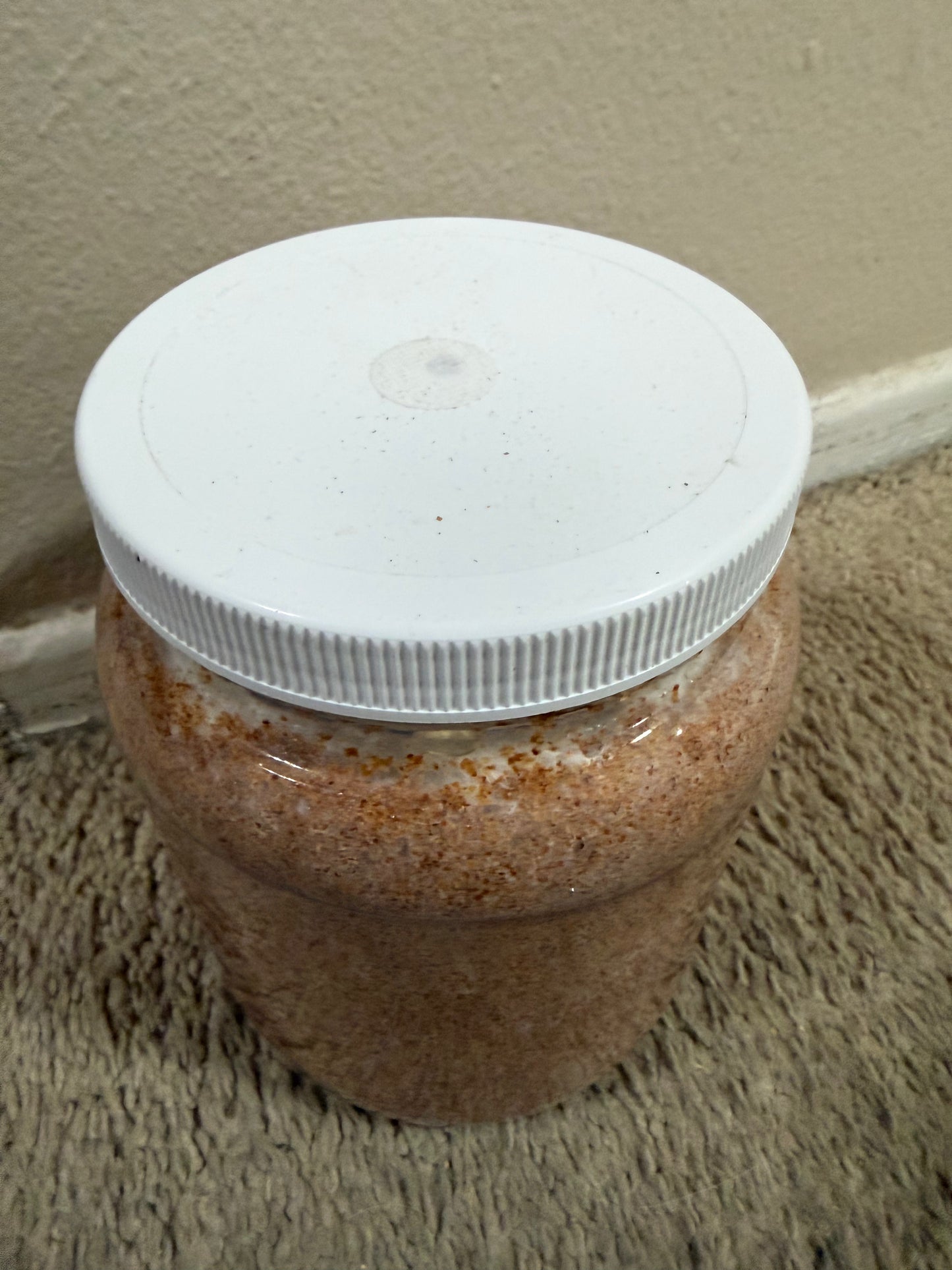 Kinshi Oyster Large 64oz container