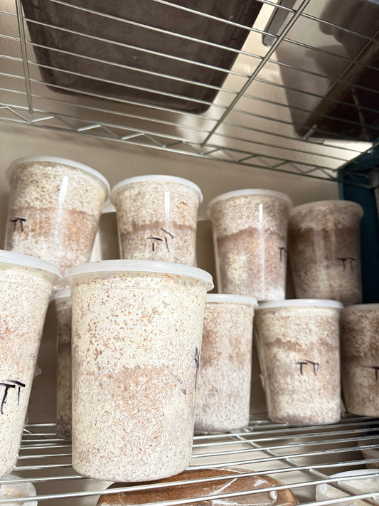 Turkey Tail Kinshi (Kawaratake) 32oz Deli Cup