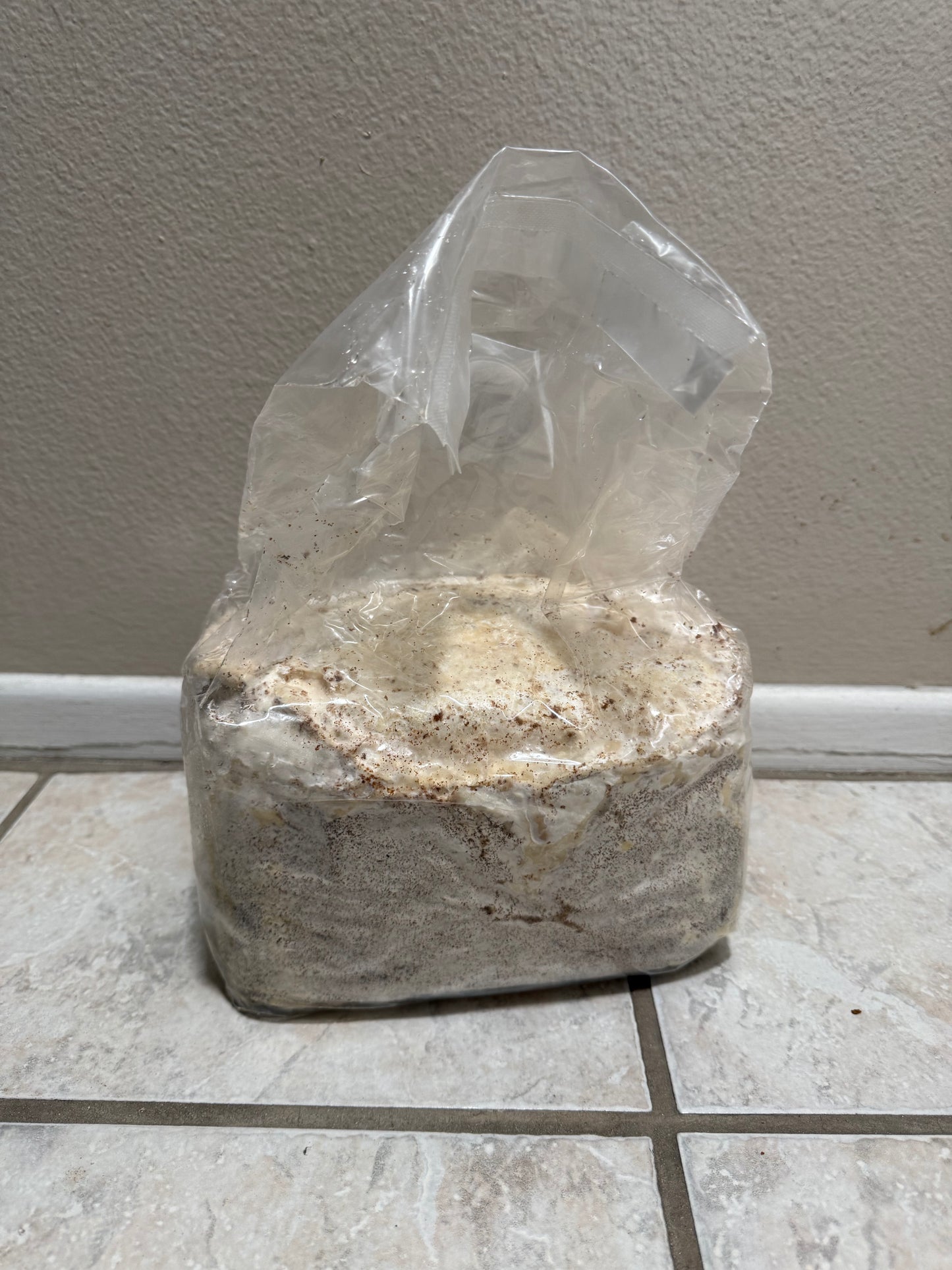 5 pound kinshi bags (FREE SHIPPING