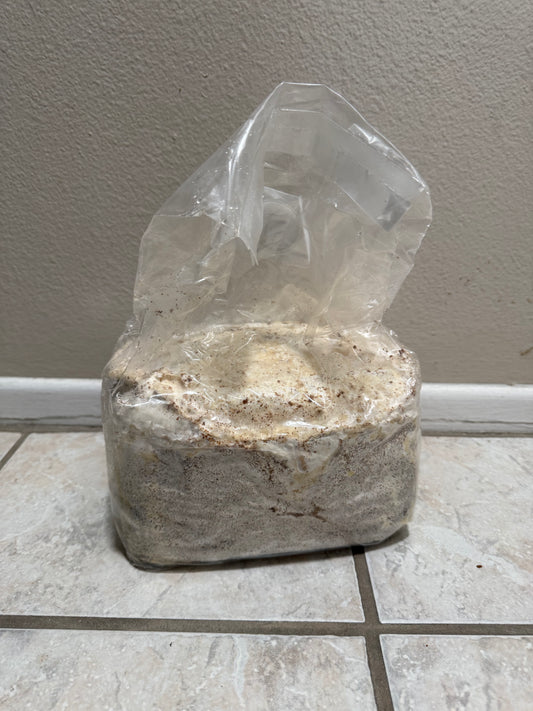 5 pound kinshi bags (FREE SHIPPING