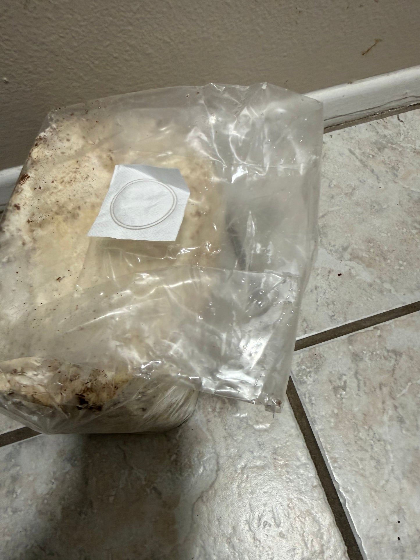 5 pound kinshi bags (FREE SHIPPING