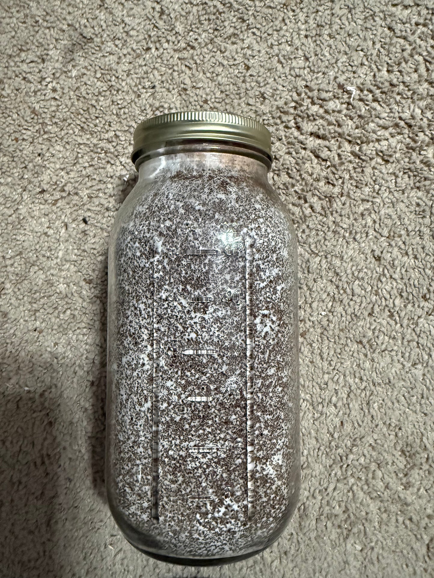 64oz Glass Jar Kinshi