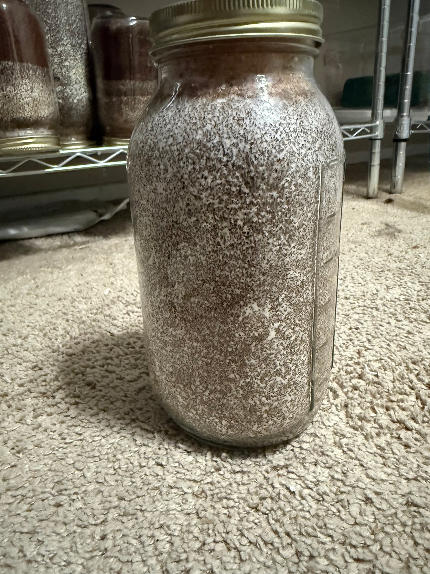 64oz Glass Jar Kinshi